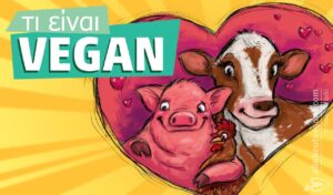 What is vegan - vegan