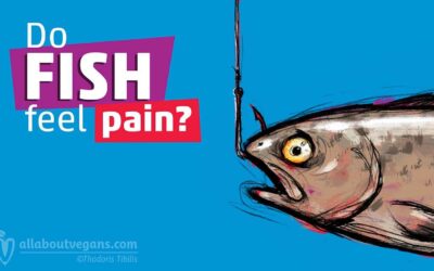 Νιώθουν πόνο τα ψάρια;