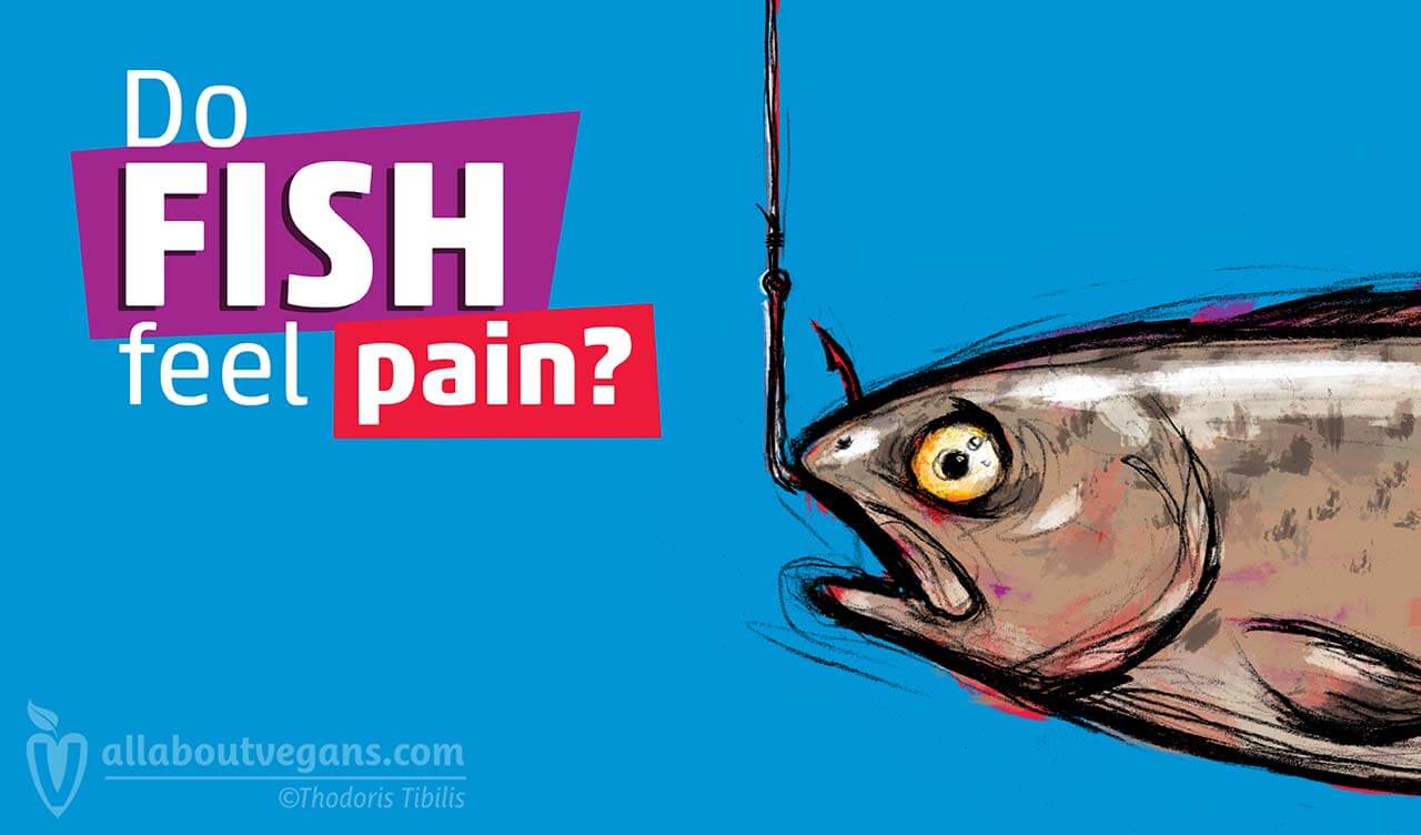  Do Fish Feel Pain? 
