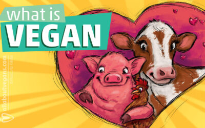 Τι είναι vegan;