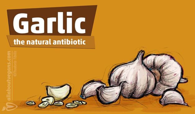 Σκόρδο: το φυσικό αντιβιοτικό