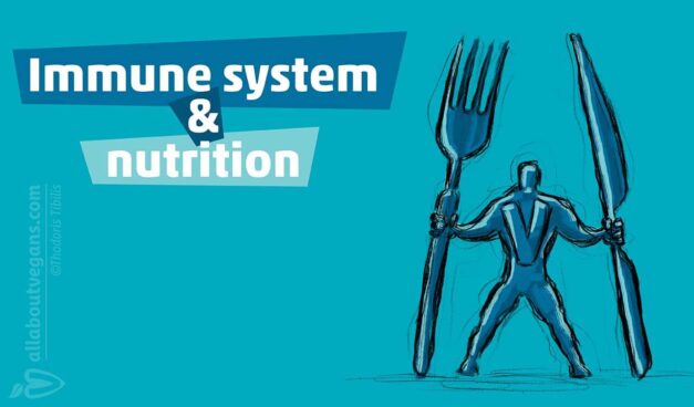 Immune system and nutrition