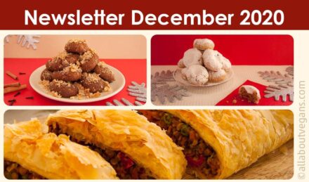 Newsletter – Δεκέμβριος (Χριστούγεννα) 2020
