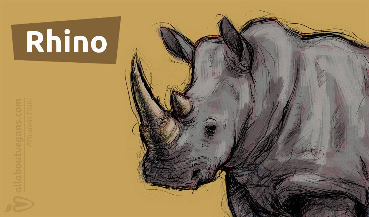 World Rhino Day - ALL ABOUT VEGANS - Blog - Recipes - Forum